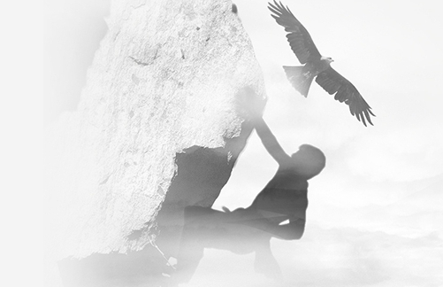 起帆電纜服務(wù)理念 起帆電纜服務(wù)理念